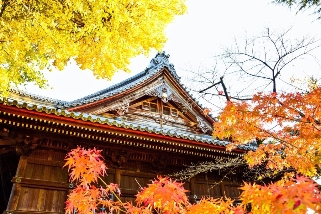 Détail d'une toiture traditionnelle japonaise encadrée par les teintes chatoyantes de la foliage season.