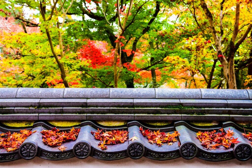 Mur de pierre traditionnel japonais surplombé par les branches flamboyantes typiques de la foliage season