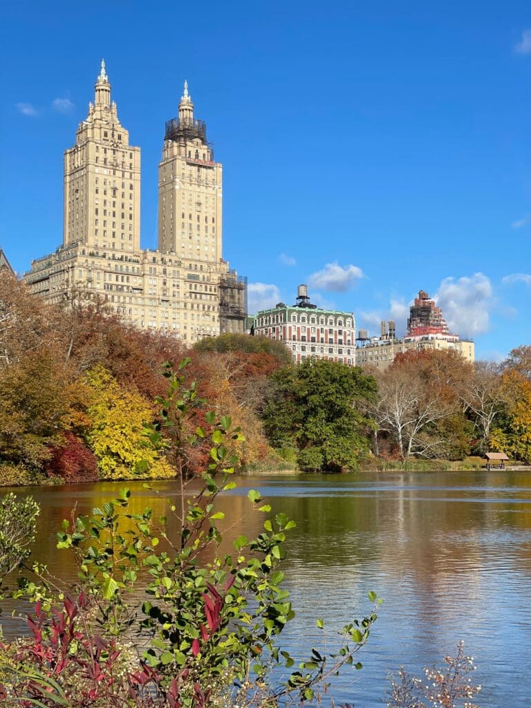 Vue sur Central Park à New York en plein cœur de la foliage season avec ses arbres dorés
