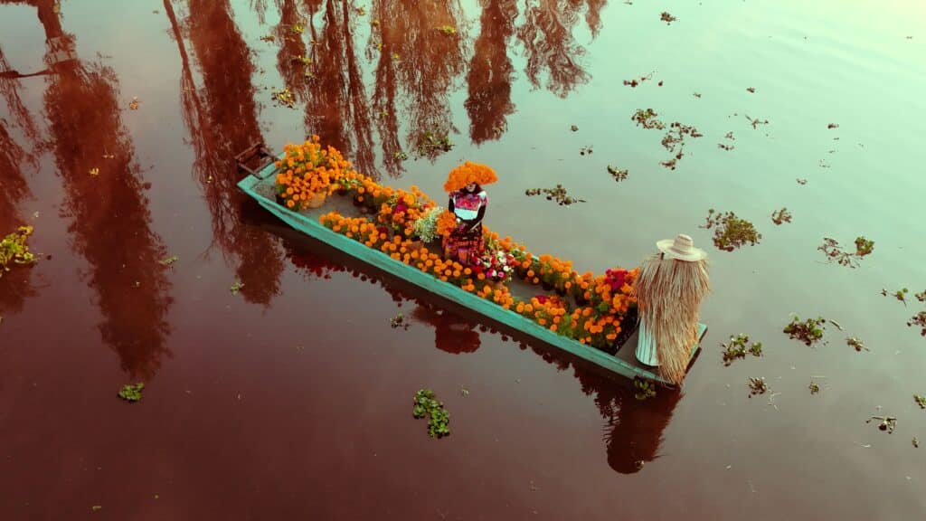 Vue aérienne d'une trajinera (barque traditionnelle) sur le lac de Xochimilco, richement décorée de fleurs de cempasúchil orange vif, avec deux personnes dessus.