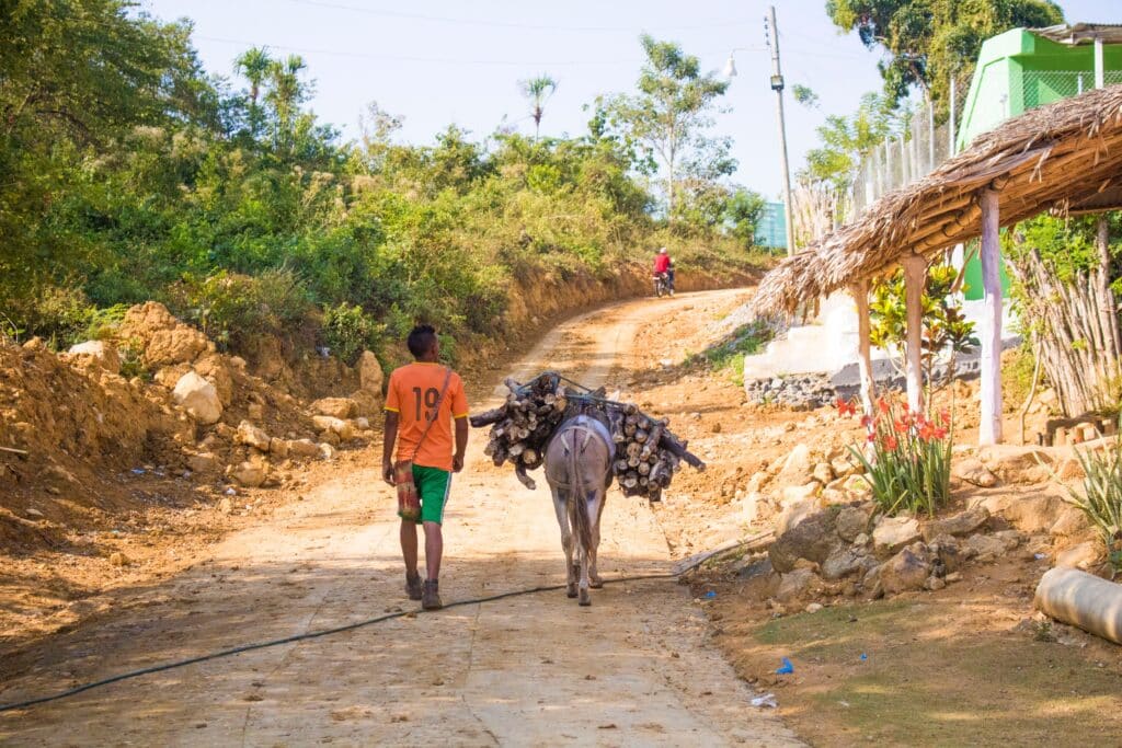 Rencontre authentique sur les terres de Madagascar, où le Fihavanana se vit à travers les gestes simples du quotidien avec un zébu.
