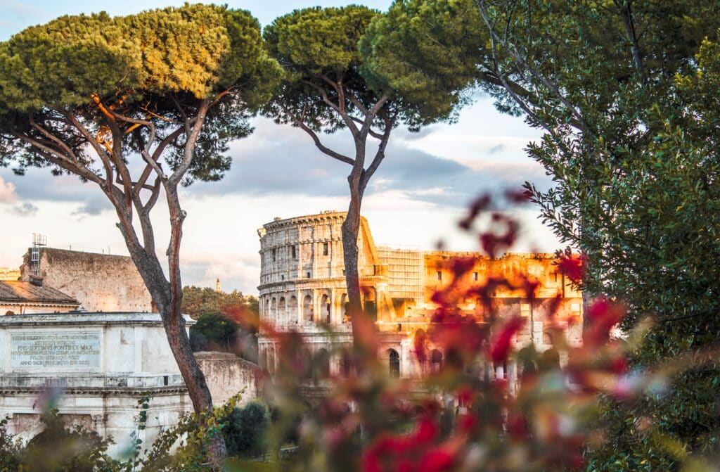 Vue du Colisée de Rome encadré par des pins et des fleurs au premier plan.