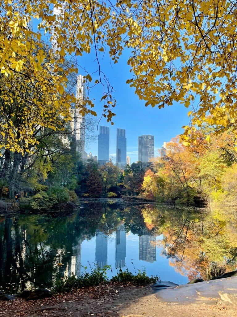 Promenade romantique et intimiste sous les arbres de Central Park à New York, échappée urbaine et calme signée Heaven Collection.
